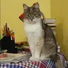 Отзыв от Эльвира Прохорова